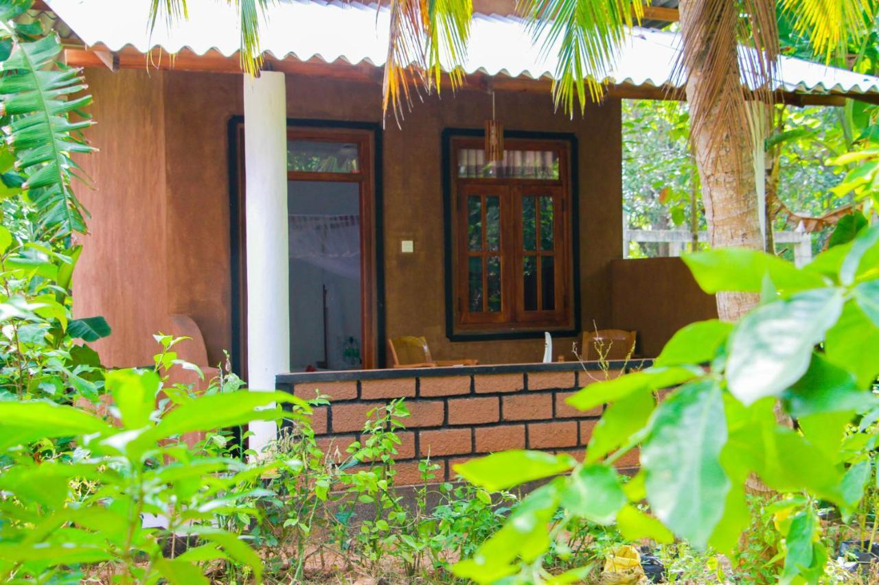 Galaxy View Homestay Сигирия Экстерьер фото