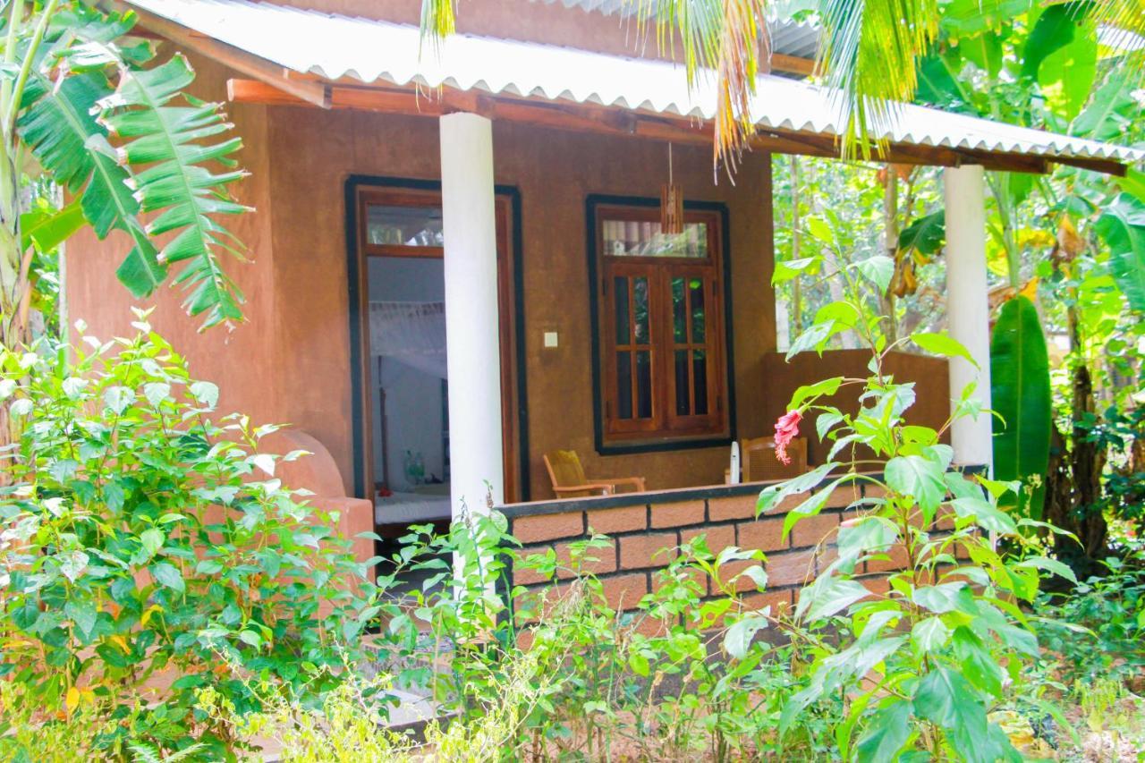 Galaxy View Homestay Сигирия Экстерьер фото
