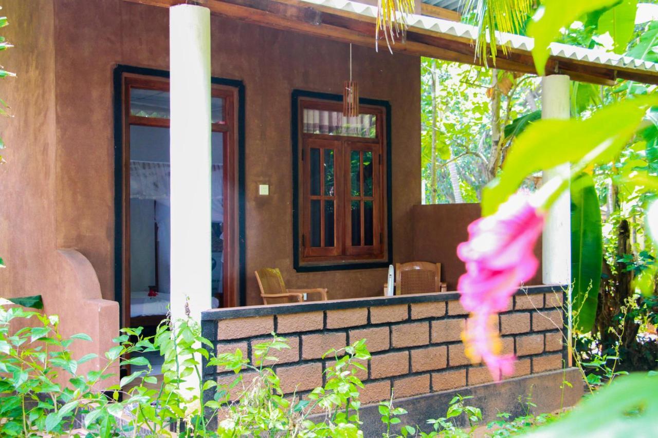 Galaxy View Homestay Сигирия Экстерьер фото