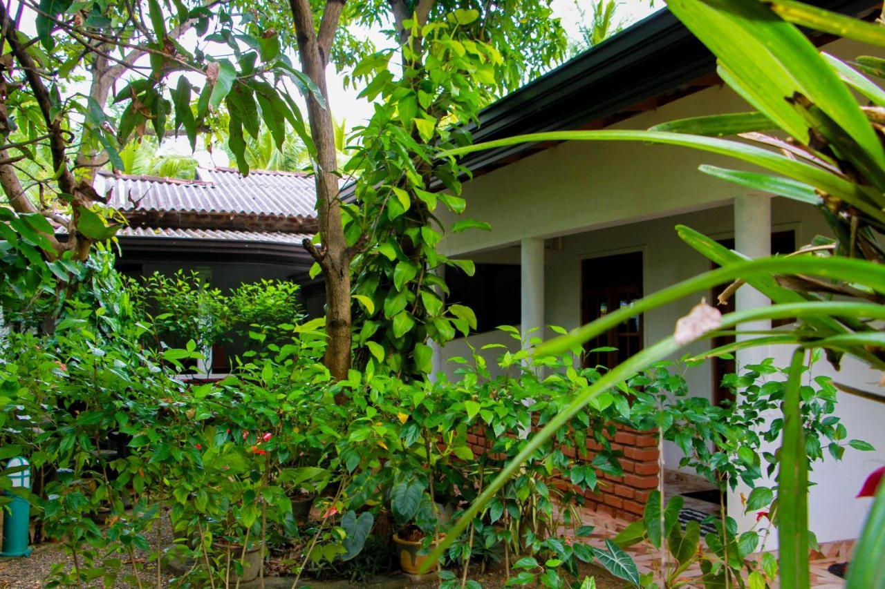Galaxy View Homestay Сигирия Экстерьер фото